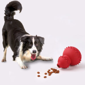 Natural Rubber Pet Toy